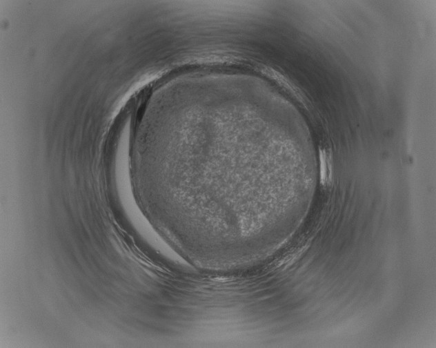 X0000076300723200610161553