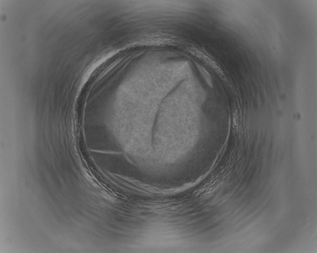 X0000076300724200610161553