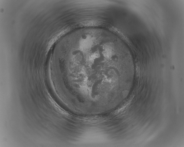 X0000076300725200610161553