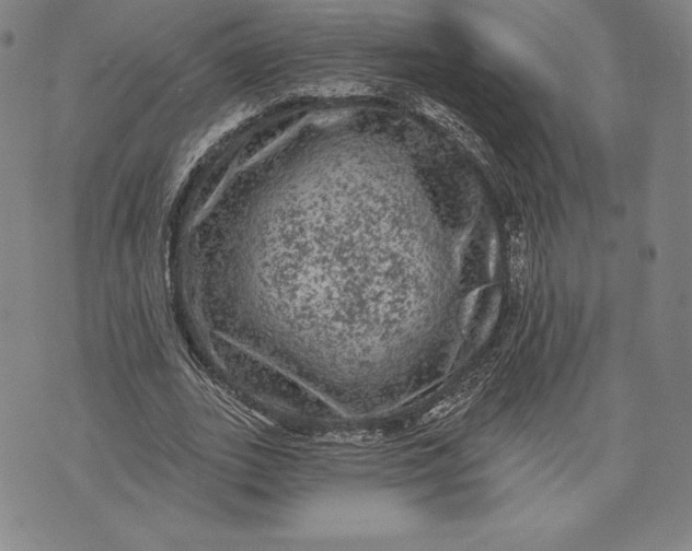 X0000076300727200610161553