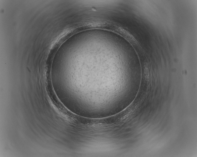 X0000076300730200610161553