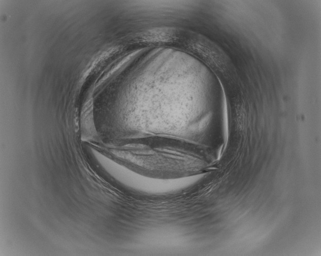 X0000076300731200610161553