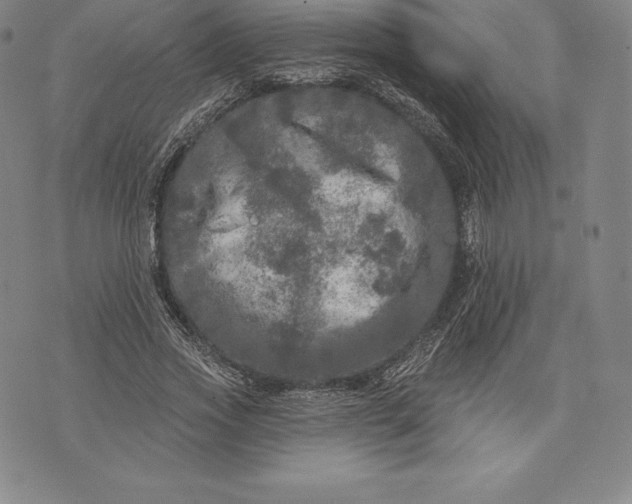 X0000076300733200610161553