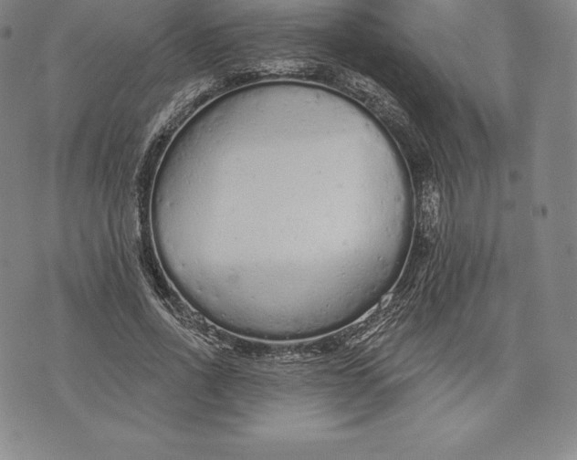 X0000076300734200610161553