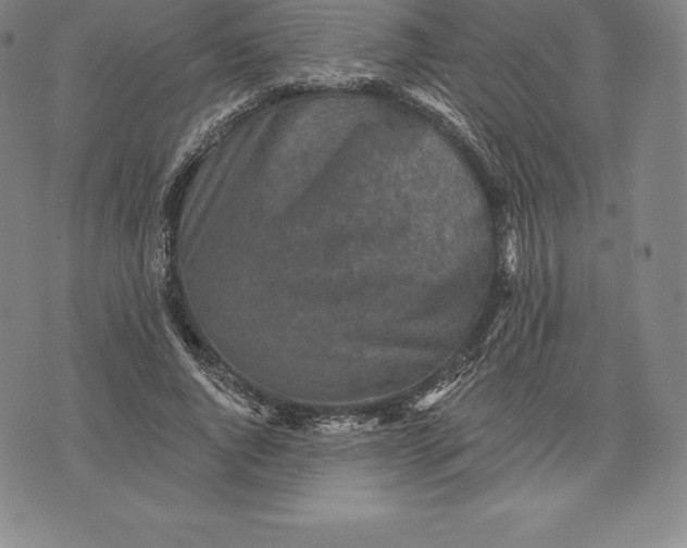 X0000076300736200610161553