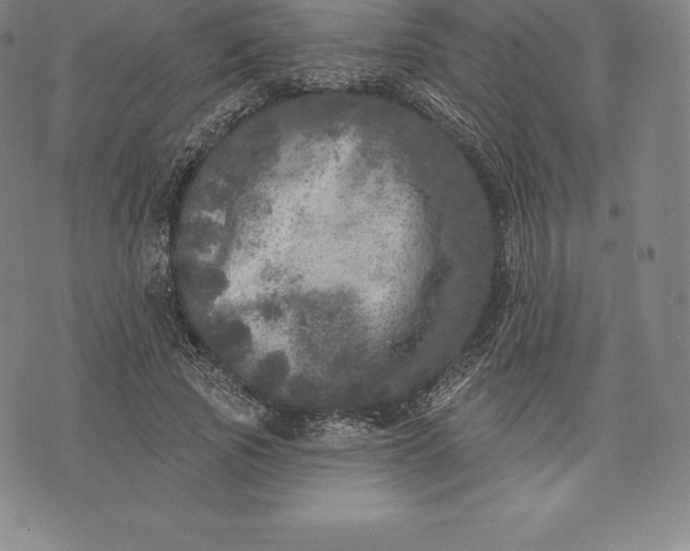 X0000076300737200610161553