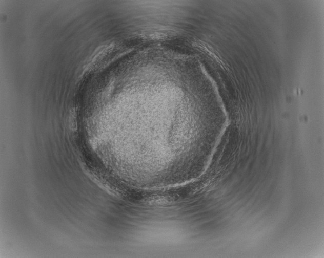 X0000076300738200610161553