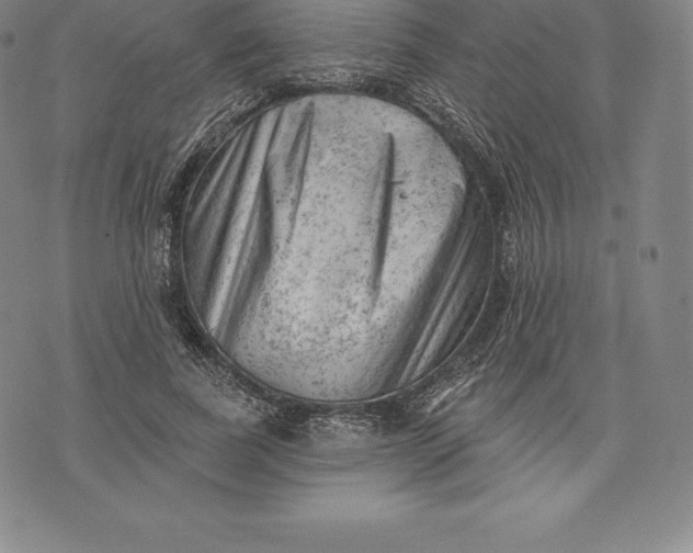 X0000076300739200610161553