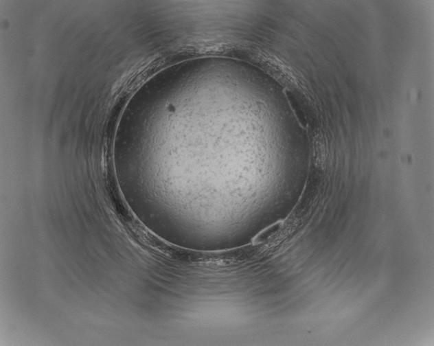 X0000076300740200610161553