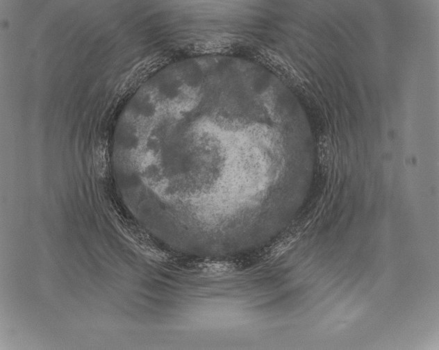 X0000076300741200610161553