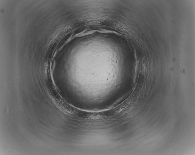 X0000076300742200610161553