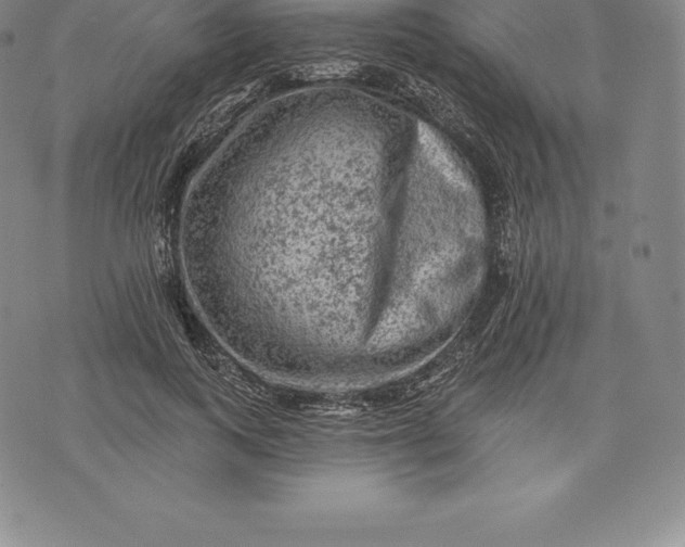 X0000076300743200610161553