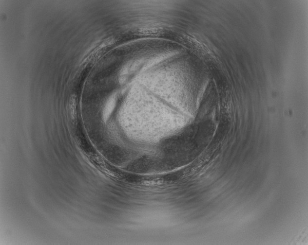 X0000076300744200610161553