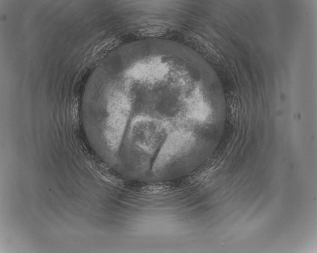 X0000076300745200610161553