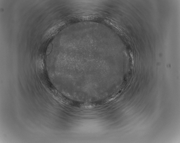 X0000076300746200610161553