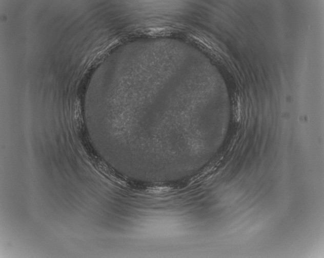 X0000076300748200610161553