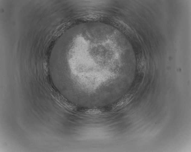 X0000076300749200610161553