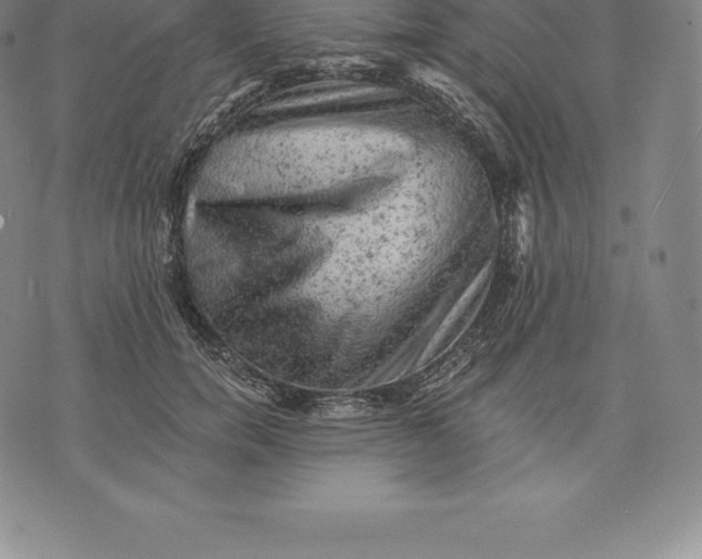 X0000076300750200610161553