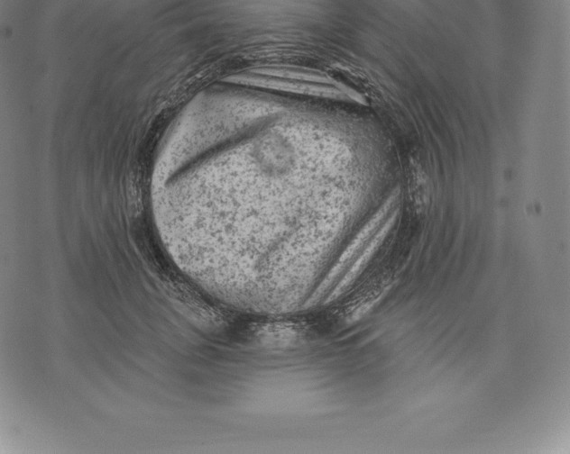 X0000076300751200610161553