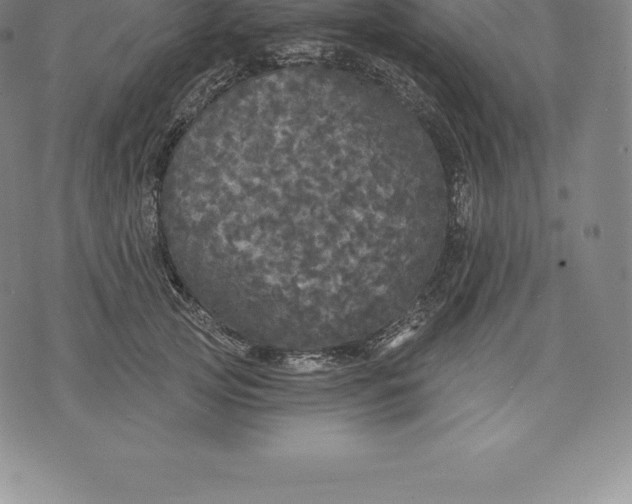 X0000076300753200610161553