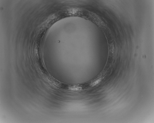 X0000076300754200610161553