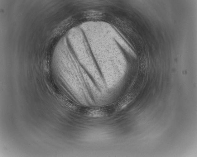 X0000076300755200610161553