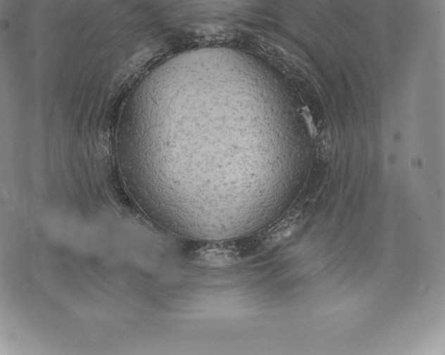 X0000076300756200610161553