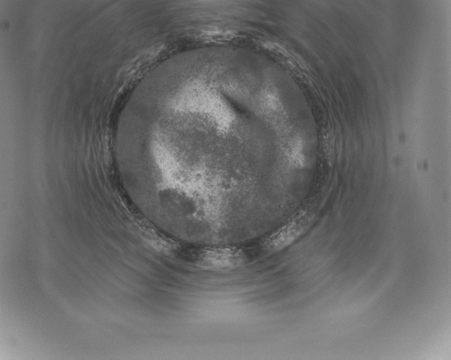 X0000076300757200610161553