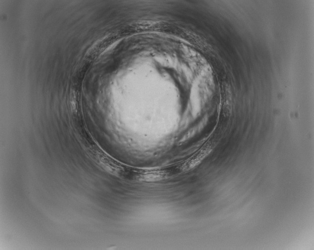 X0000076300758200610161553