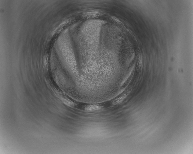 X0000076300759200610161553