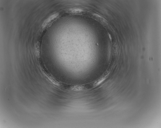 X0000076300762200610161553