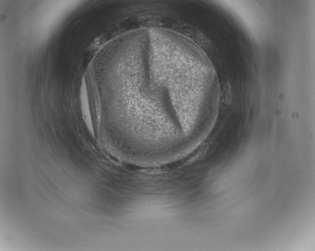 X0000076300763200610161553