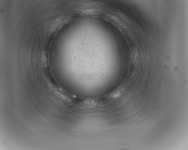 X0000076300764200610161553