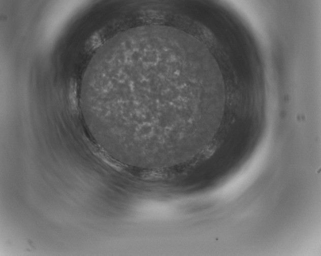 X0000076300765200610161553