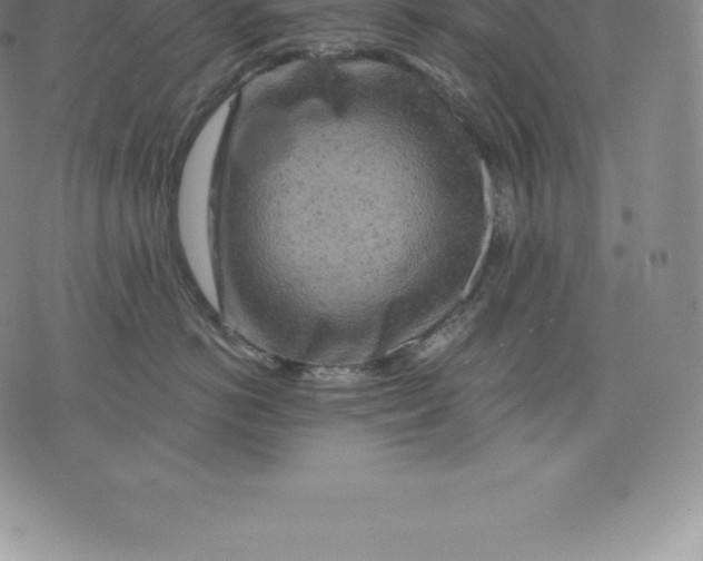 X0000076300766200610161553