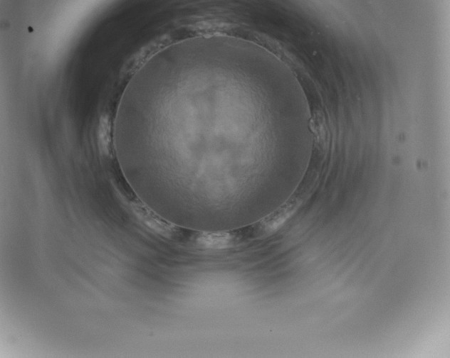 X0000076300767200610161553