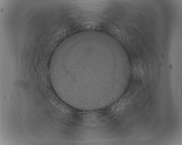 X0000076300769200610161553