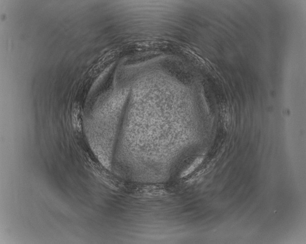 X0000076300770200610161553