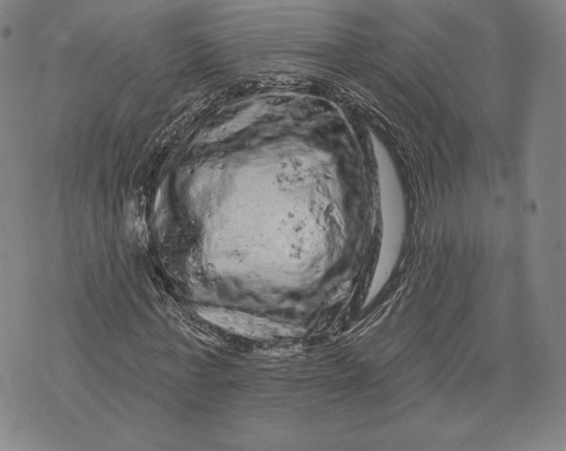 X0000076300771200610161552