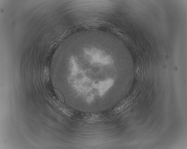 X0000076300772200610161552