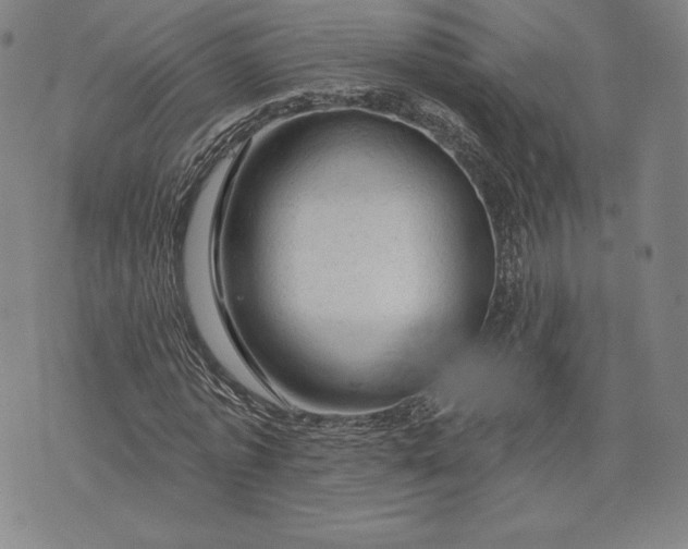 X0000076300773200610161552