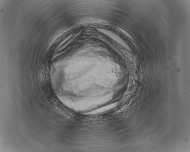 X0000076300775200610161552