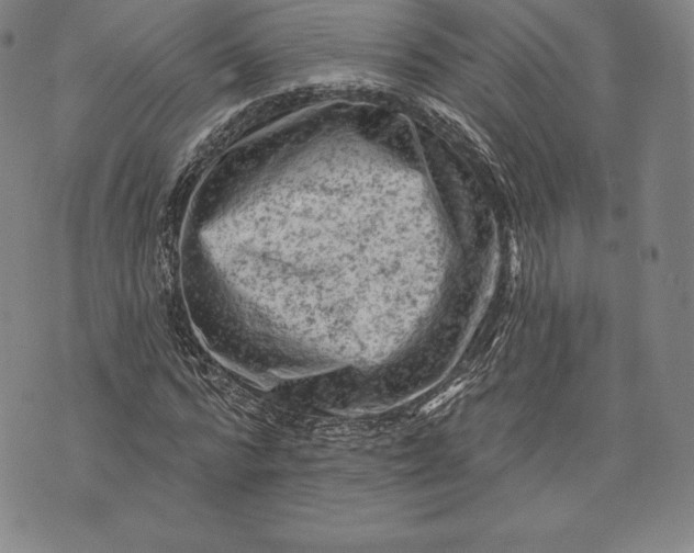 X0000076300776200610161552