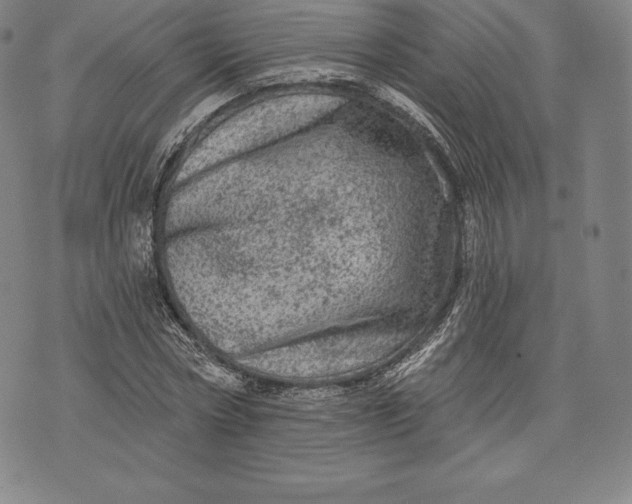 X0000076300778200610161552