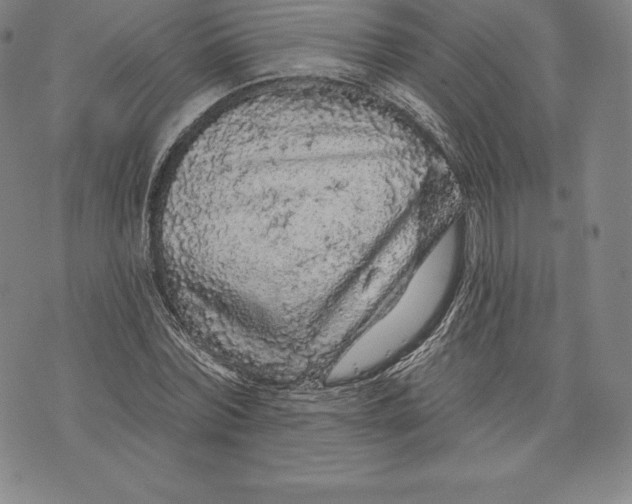 X0000076300780200610161552