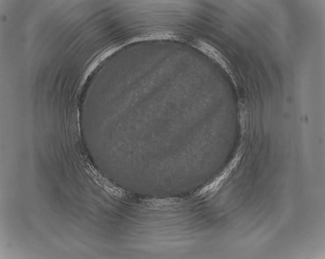 X0000076300781200610161552