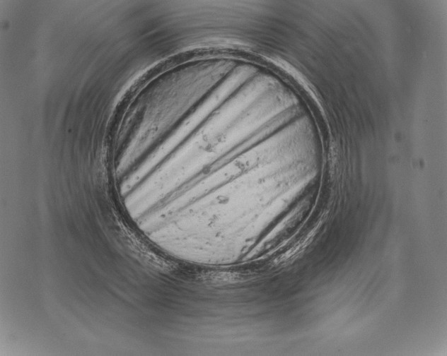 X0000076300783200610161552