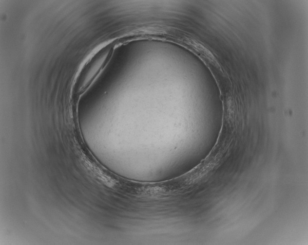 X0000076300784200610161552