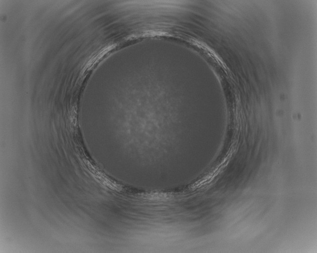 X0000076300785200610161552