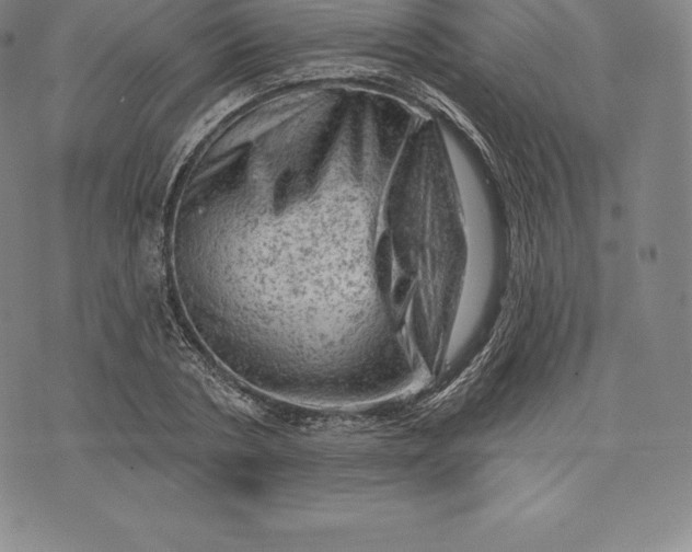 X0000076300786200610161552